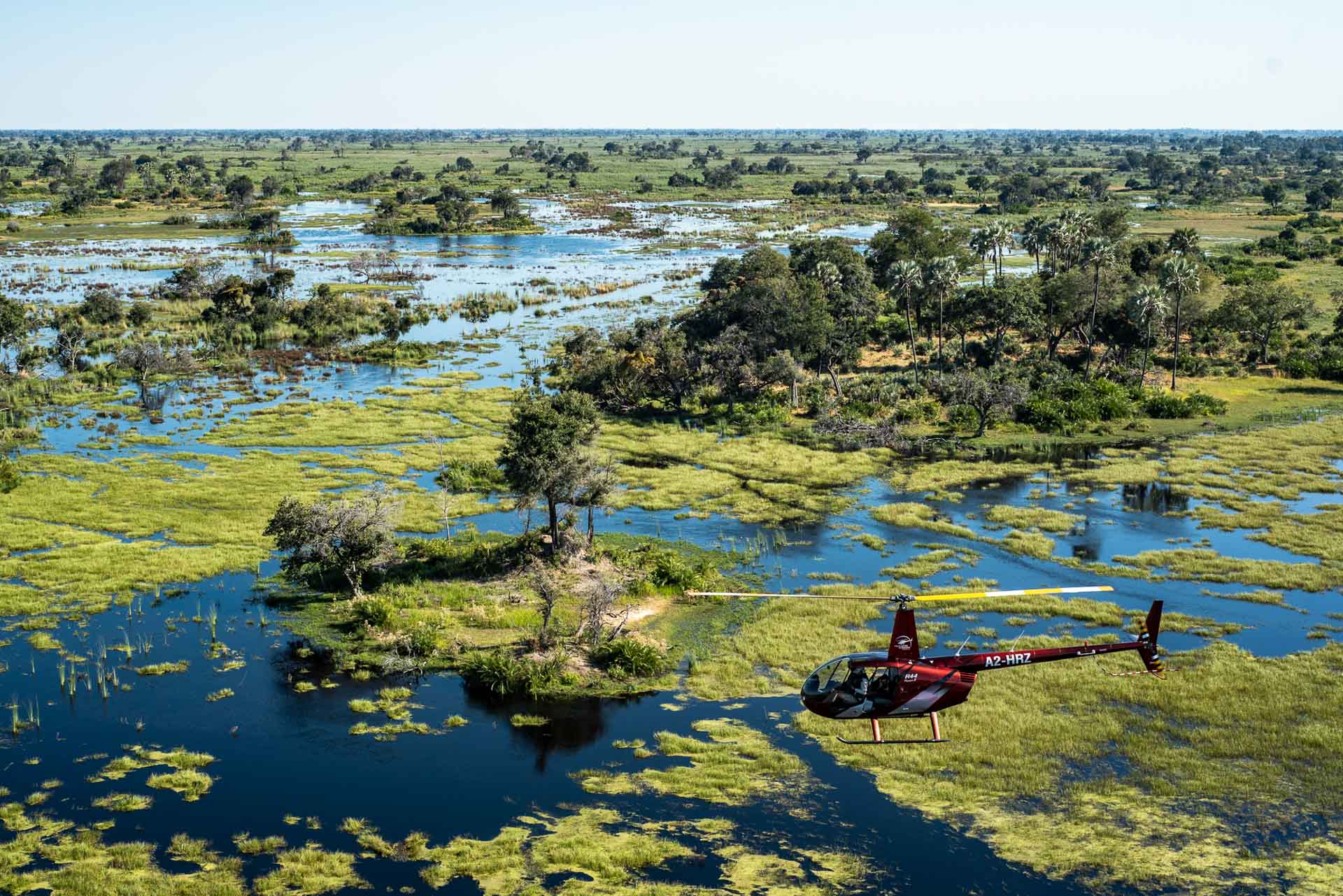 Okavango craft gin experience