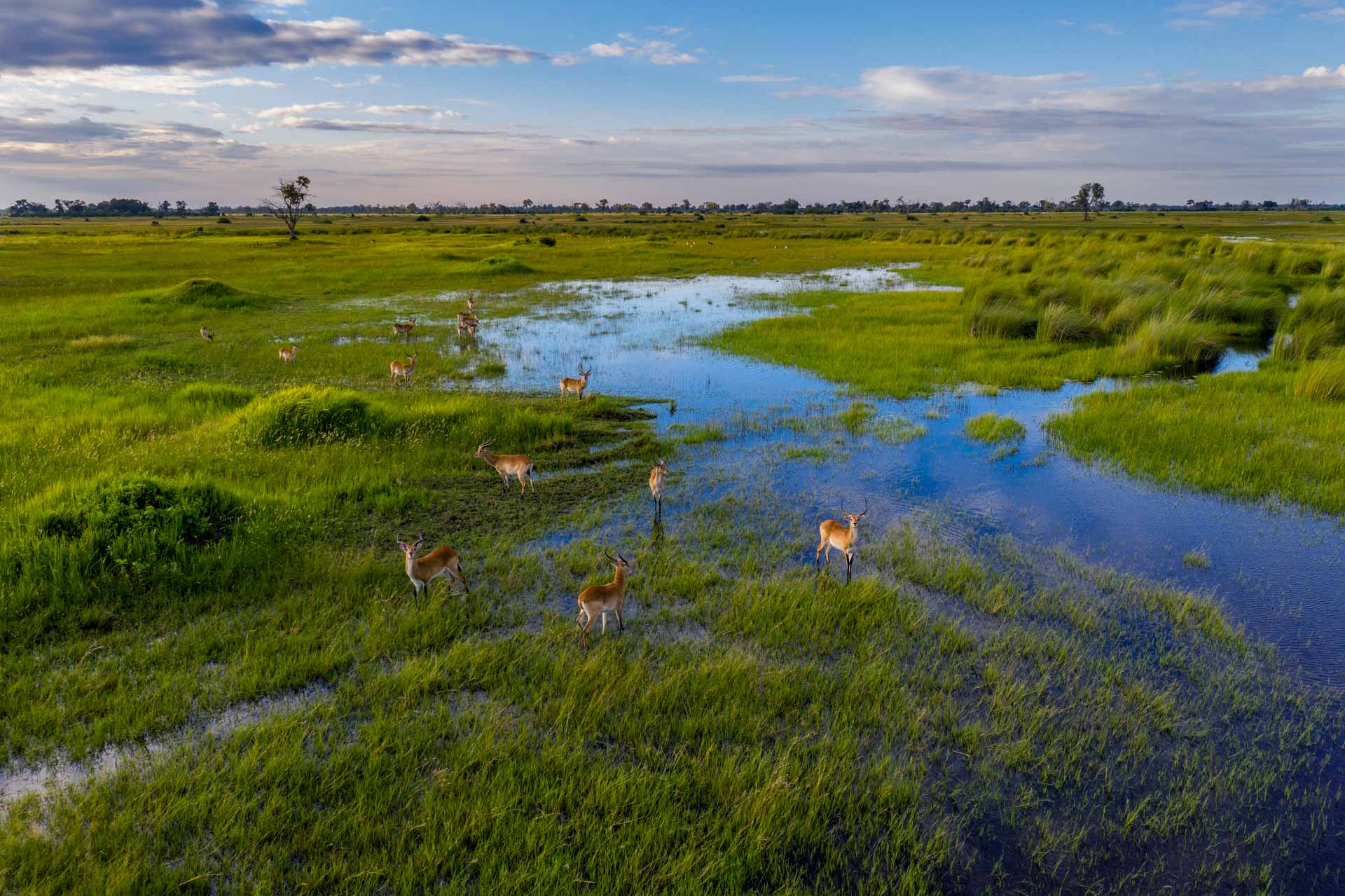 Okavango Delta experience